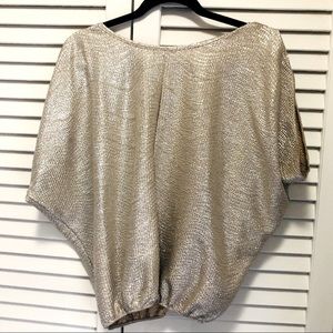 Sliver flowy blouse